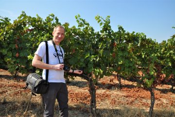 wine tours