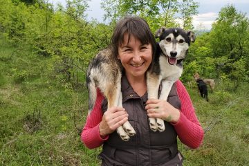 Dog Rescue